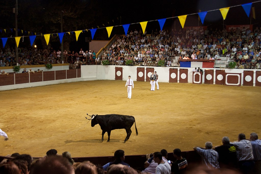 Taureau dans unen arène avec des acrobates